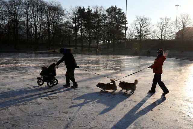 A person walks their dogs on a frozen pond at Victoria Park in Glasgow.