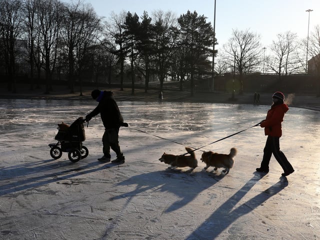 A person walks their dogs on a frozen pond at Victoria Park in Glasgow.