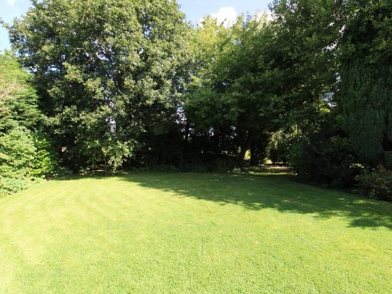 Glorious greenery surrounds The Three Horseshoes at Bagthorpe, wherever you look.