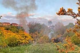 Smoke billows from the fire in Forest Town.