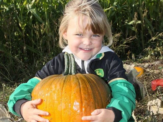 Poppy Holdsworth is pleased with the pumpkins she has chosen.