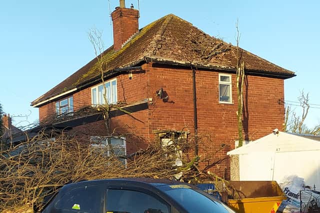 The tree fell from across the road and smashed into the couple's home in Glebe Avenue, Pinxton.