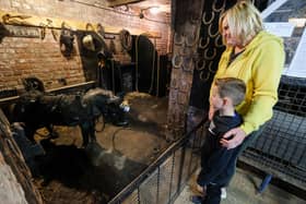 Julie Garrard and Oliver Pearson looking at the exhibits, including a pit pony.