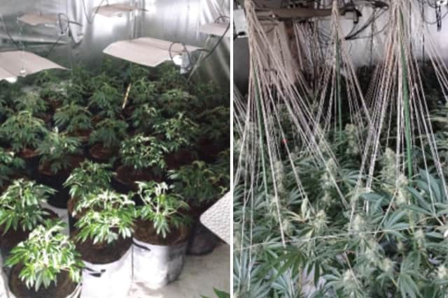 Hundreds of cannabis plants were discovered at a property in Kirkby