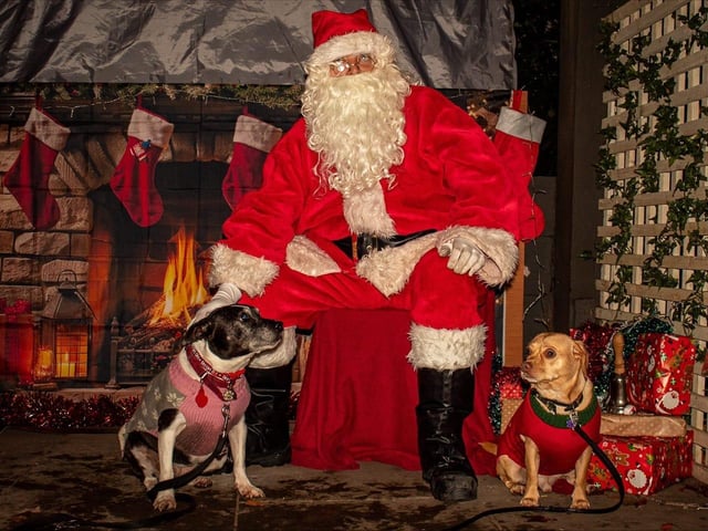 Kacie & Rio with Santa Paws. Thanks for sharing.