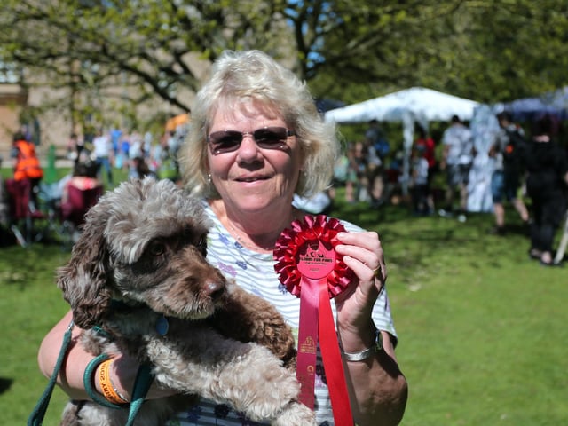 Susan Gregory holds Ripple and the rosette Ripple won for winning the waggiest tail competition in 2018 at Newstead Abbey Glastonjerry Festival.