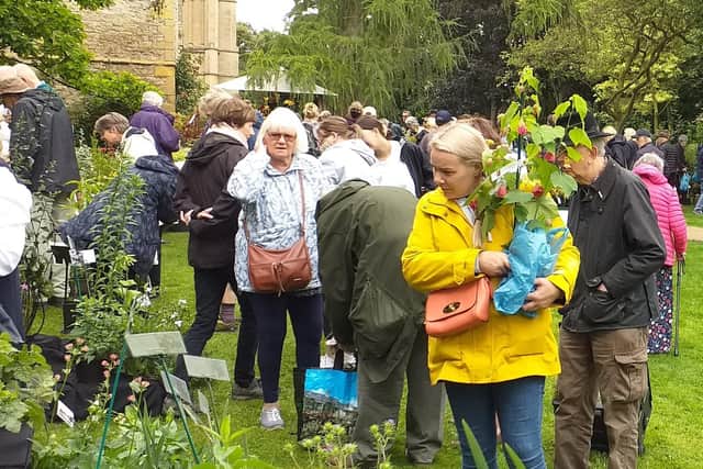 Summer plant fair returning to the Palace Garden at Southwell Minster