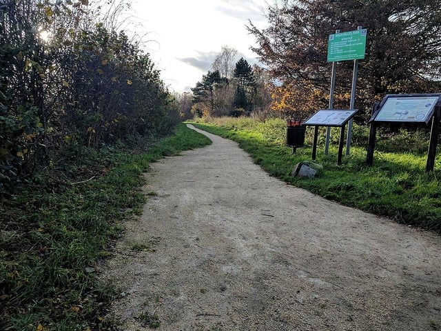 Maun Valley Park Local Nature Reserve is the largest reserve in the district, covering 17 hectares of protected habitats along the River Maun, from Bath Lane to New Mill Lane. The reserve features ancient oak woodland, grasslands, water meadows, riverside areas, and wetland habitats. It is divided into two sections, North and South, by Old Mill Lane. Designated as a Local Nature Reserve in 2004, it holds significant value for both local residents and wildlife. The sandy banks and exposures of Sherwood sandstone along the river provide habitats for various insects and numerous types of fungi. The River Maun flows along the western edge of the reserve at the base of the escarpment, and it has played a vital role in the historical development of Mansfield, particularly in supplying water power to a variety of mills.