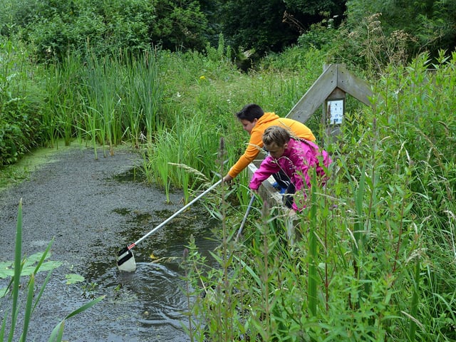 Children from King Edward Primary School exploring the area and enjoying pond dipping in 2016
