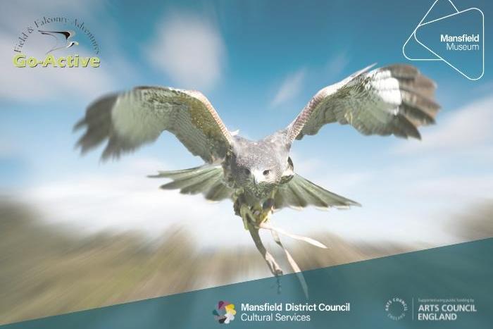 Get up and close and personal with birds of prey and learn some interesting facts about them at an event that is part of the ongoing Nottinghamshire Festival Of Science And Curiosity. It takes place at Mansfield Museum tomorrow (Thursday) from 10.30 am to 2 pm and is hosted by an experienced falconer, who has all the knowledge to answer any questions you want to ask. You will also be able to have photos taken with the birds.