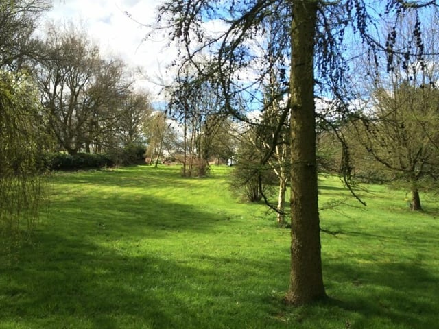 Now many back gardens contain their own wooded area. But this one does, with trees and lawns to explore.