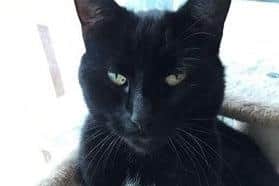 Have you seen Max?