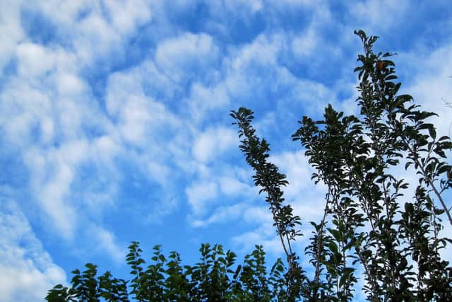 The weather will be cloudy with sunny spells and some showers over the weekend.