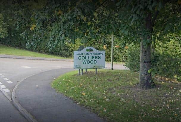 The green festival will be held at Colliers Wood Nature Reserve.