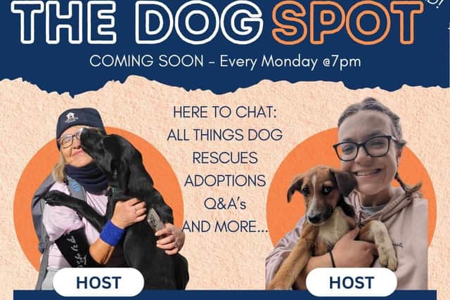 Here is the poster for the weekly 'Dog Spot' podcast.