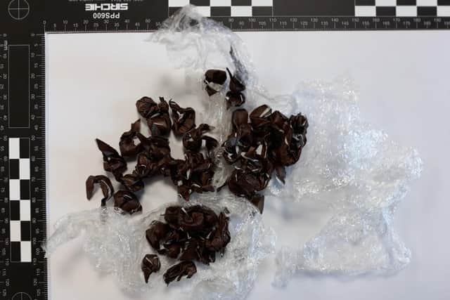 Drugs found after raid in Skegby.