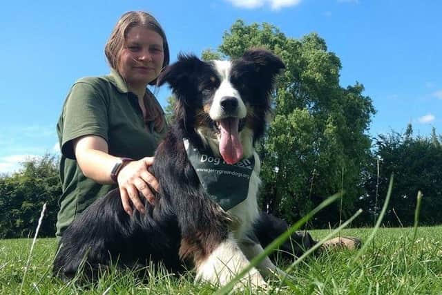 The centre has been rescuing and re-homing dogs since 1961