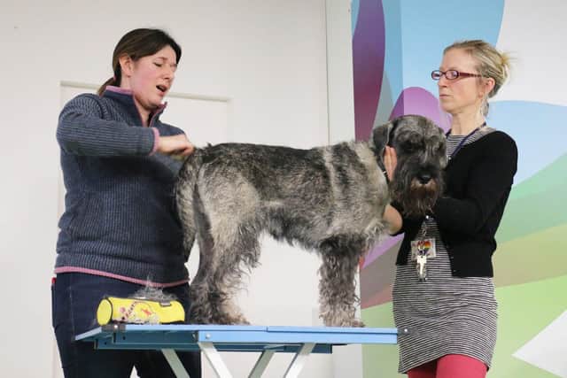 Beth Railsford, of K9 Cuts dog grooming business, with animal care programme area leader Polly Wiltshire.