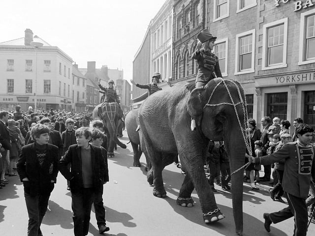 1968 Mansfield Circus Elephant Parade.