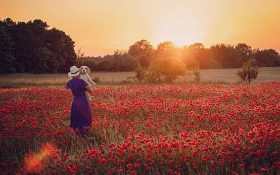 Photographer @excusemephotography shared this poppy field photo.