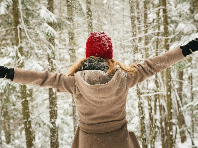 Take a look at our snowy snaps to get you in a Christmassy mood
