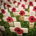 Mansfield residents have been urged to commemorate Remembrance Sunday at home this year due to the Covid-19 crisis.