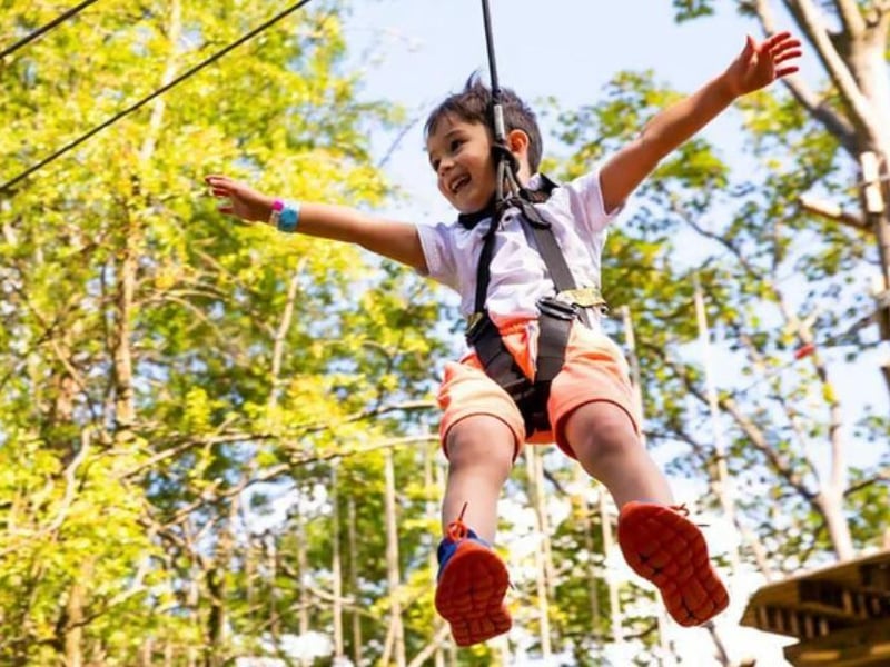 An outdoor family adventure in Sherwood Forest featuring a high-ropes experience for everyone.