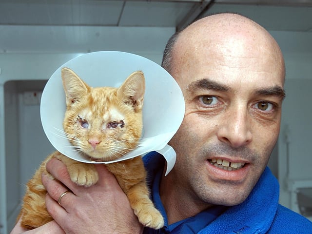 Partially blind orphan kitten ' Scarlet' was being looked after by Mark McGee, manager at the Cat Rescue Centre in Warsop.