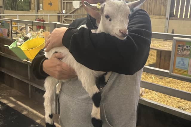 Chad's Stephen Thirkill gets up close to a goat at the end of a goat yoga session at White Post Farm.
