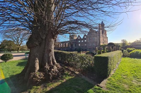 Grab a hot chocolate and enjoy some crisp, fresh air at Rufford Abbey. The park has the ruins of the abbey, gardens, a lake and cafes to offer.