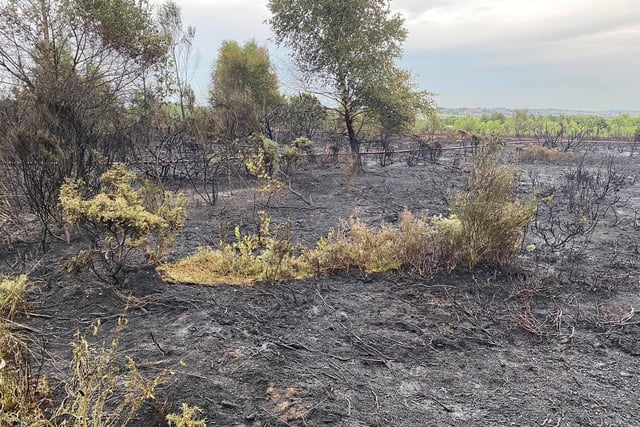 The fire affected a total area of about 20,000 sq metres of forest and scrubland.