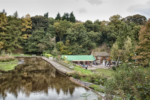 Forge Dam is a pleasant spot for an enjoyable walk beside the Porter Brook - plus the cafe is back open, as well as the park toilets. (https://www.facebook.com/forgedamcafe)