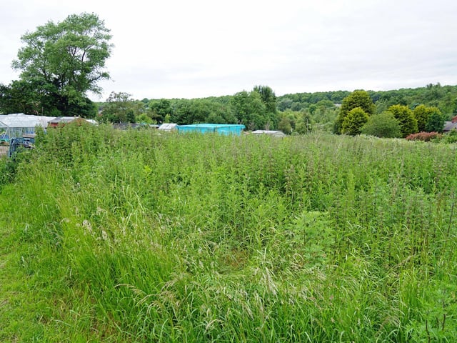 An open space is available for new plot-holders, with members ready to assist newcomers in setting up their plots. Are you interested in transforming this overgrown space into a thriving, organic, and bustling plot?