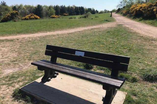 The bench at Vicar Water before it was vandalised