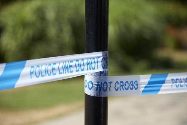 Police seized a number of dogs from a traveller site in Ipswich (Photo: Getty)