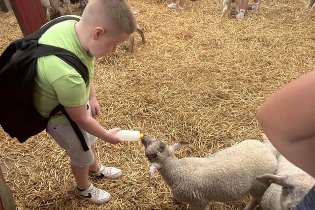 Visitors can also get close to these new born lambs during feeding time.