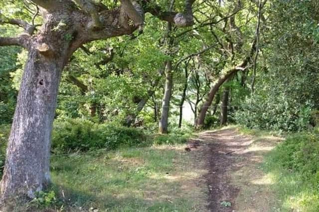 Look closely - can you see the danger here? Do you think you would see this travelling towards it at speed?