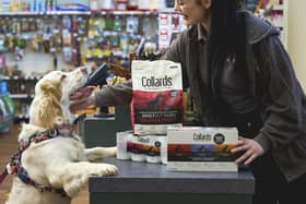 5 Reason to Visit Pets & Friends Stores and Grooming