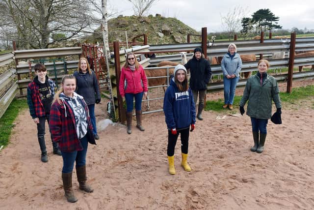 Carnfield Hall volunteers with the llamas.