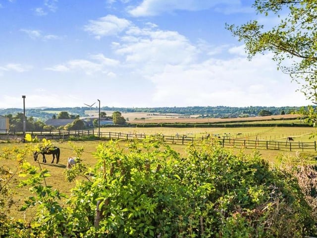 The superb rural view from the back of the £575,000 bungalow includes horse paddocks. On a bright, sunny day, you can see for miles.
