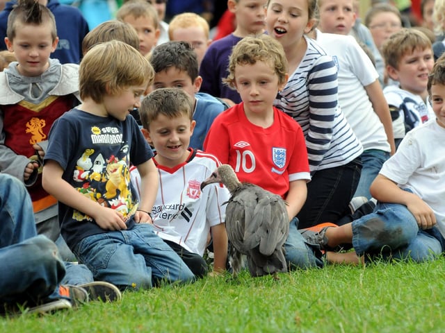 Archie the Vulture meets his fans