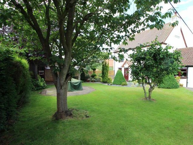 The picturesque garden boasts a variety of trees, ranging from twisted hazel to cherry and magnolia.