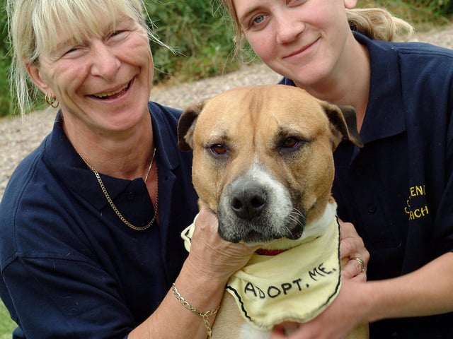 Elaine Shaw, left, and Rachael Shaw with ridgeback cross Bud at the Babworth Crossing Cottage Kennels on Mansfield Road.  The centre was recently presented with a £500 cheque from Dogs in Need to help look after and re-home their dogs. Photo from 2006.