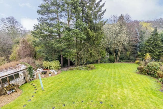 A sprawling lawn, surrounded by trees and mature shrubs, is a key feature of the large back garden