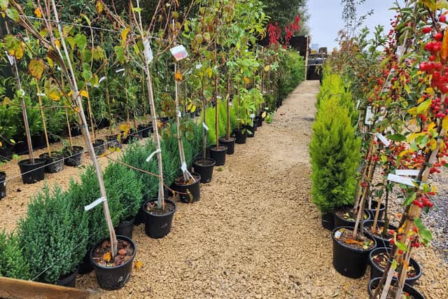 The Trade Timber Supplies garden centre, which is close to the proposal site on Oakfield Lane, Warsop.
