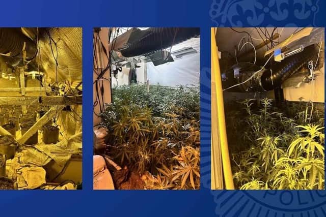 Police discovered a cannabis factory operating across two neighbouring homes in Mansfield