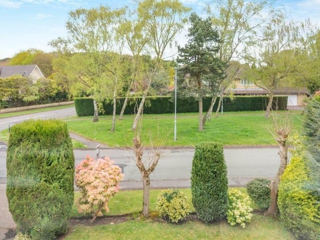 The Avenue is one of Mansfield's most desirable places to live, offering greenery, peace and quiet, as this view from one of the bedroom windows shows.