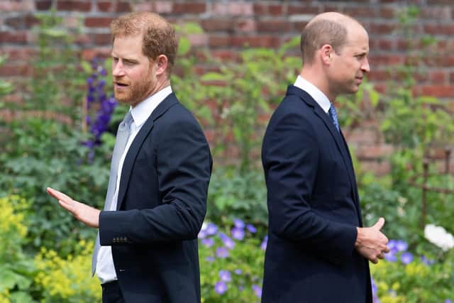 Prince Harry, Duke of Sussex and William, Prince of Wales