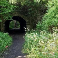 New housing estate for old Mansfield quarry finally agreed after 10 years