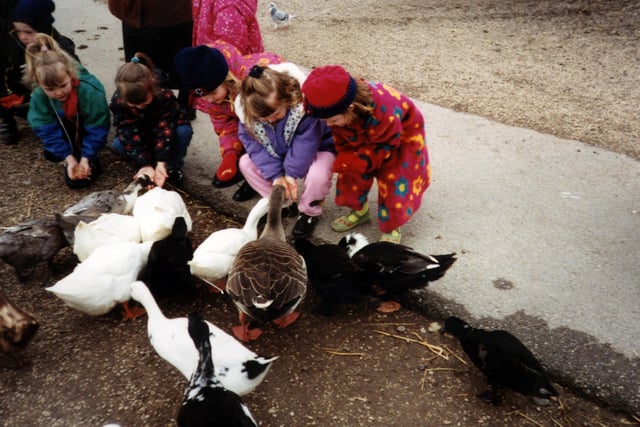 Can you spot yourself feeding the ducks in 1998?